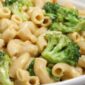 Pasta Vegetarian
